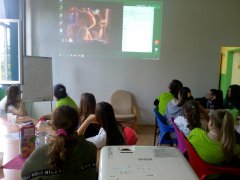 IMG_20191115_115945.jpg